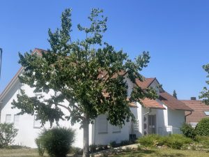 Gebäudeansicht