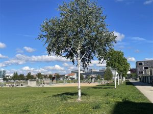 Parkanlage in direkter Nachbarschaft