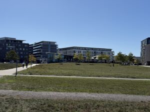 Grünflächen hinter dem Haus