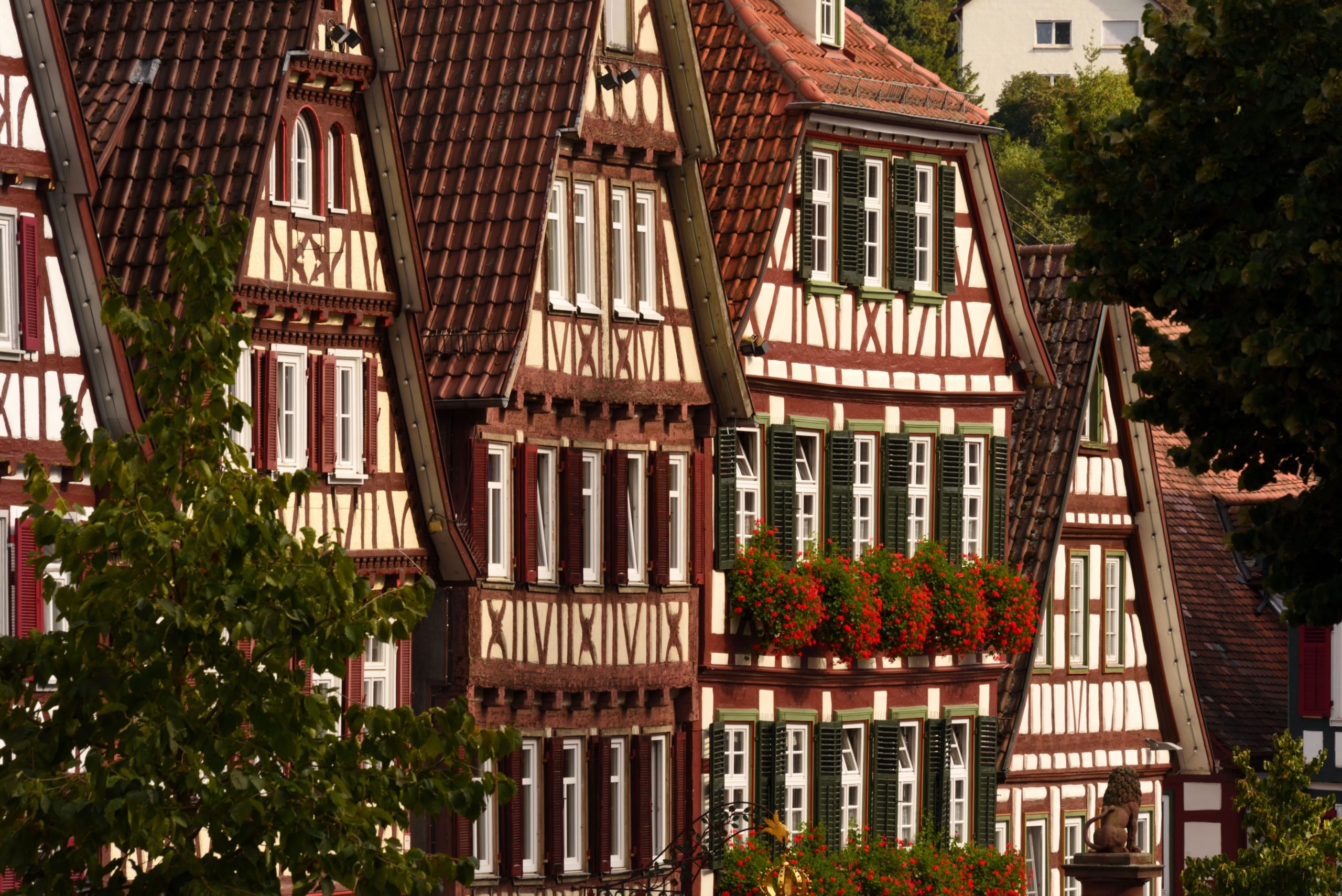 pexels-arndt-peter-bergfeld-151632051-18757483